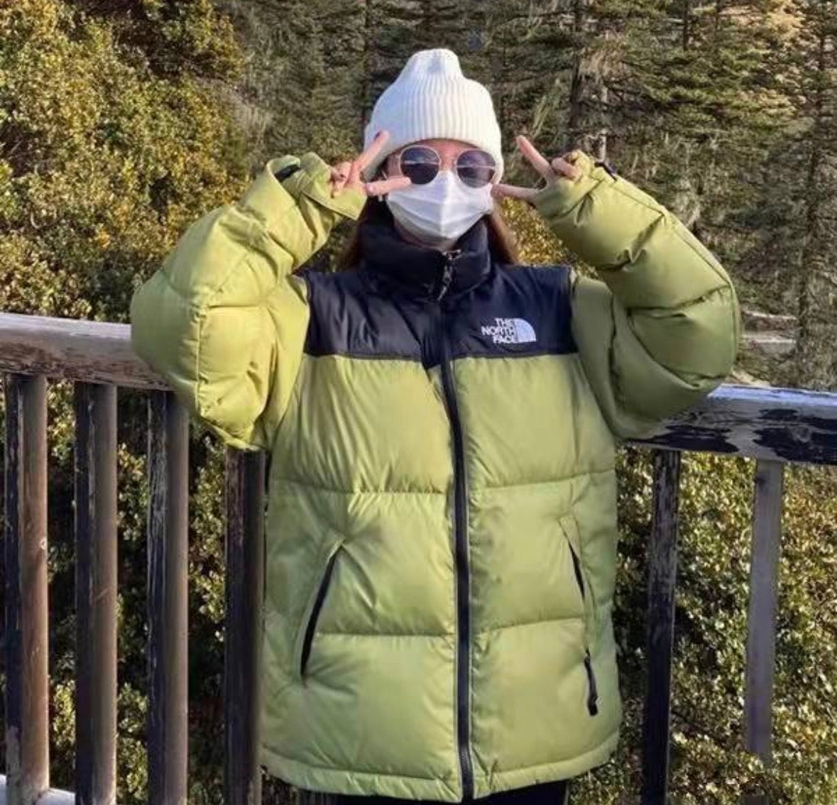 The North Face 700 Down Puffer